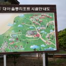 울릉도 산들바다