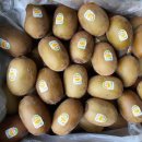 (주)골드레몬 이미지