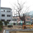 고목초등학교 이미지