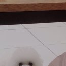 초원샵 이미지