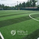 히딩크드림필드 이미지