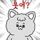 러블리독 애견카페 이미지