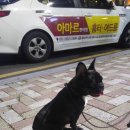 모모인