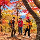 팔일봉(지축역 금화리딩) 이미지