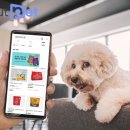 어바웃도그 이미지