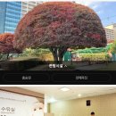 짱아PC방 이미지