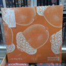 춘천 라이브 박스 : WHITE BOX | 매일매일 업데이트