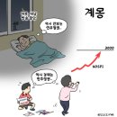 16 이미지