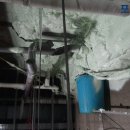 롯데마트시화점 이미지