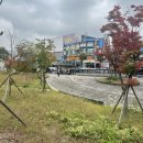 NEO공인중개사사무소 이미지