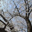 경희 태권도하는아이들 태권도장 이미지