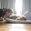 이상순농장 이미지