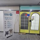 댕댕월드&퍼피 이미지