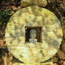 (주)도리천 이미지
