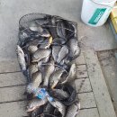 방아실낚시터 이미지