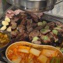 용산갈매기