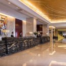 비너스나이트클럽 이미지