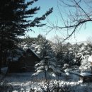 자연숲공방
