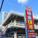 해송 | 🦀 부산 기장 대게 맛집, 코스요리전문 해송대게 내돈내산 솔직후기 (가격, 주차 등등)