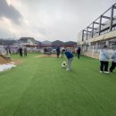 강아지 놀이터 이미지