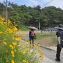 신기 감곡 숲 이미지