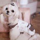 도루몽실 | 몽실짱아님 꼬까입고~