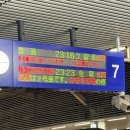 짱 게임즈 | 11/30 유리짱 보러 사가경마장 다녀온 후기