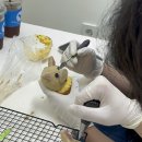 모모한 하루 이미지