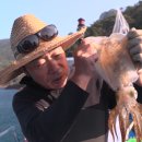 영산도명품마을 이미지