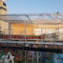 멍이네 하우스 이미지