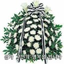 2026년 8월 5일 서명원교우 별세 이미지