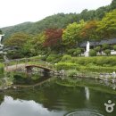 성지 Daum카페