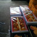 재희농장 이미지