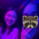 신성세탁소 | [세계여행 06_캄보디아] 앙코르와트 자유여행 툭툭 투어