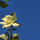 거명의료재단 이미지