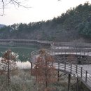 고복자연공원 갈대습지원 이미지