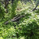 숲뒤농장 이미지