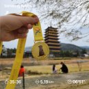 경주 벚꽃마라톤 후기 - 러닝초보 생애최초 마라톤 도전기