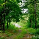 꿈돼지2농장 이미지