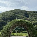 소나무 펜션 | 경남 창녕 가성비 숙소 카라반 추천 소나무풍경펜션