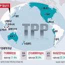 tpp 관련/테마주(sg충남방적, 일신방직, 화승인더, 동일방직, 한세실업, 태평양물산, 영원무역, 데코앤이, 아비스타,베트남개발1) 이미지