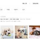 링크애견샵 이미지