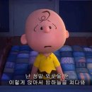 붐업
