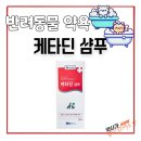 서면다정동물약국 이미지