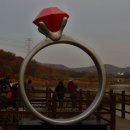 호수정감 이미지