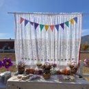 고제초등학교 이미지