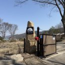 더 정감 | 충남 아산 애견동반 캠핑장 캠프정감 타프존까지 완벽