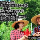 박경자농장 이미지