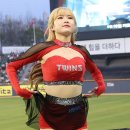 올킬 - 은평구 통일로71길 24-17 | 올킬