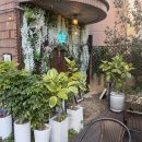 남천1-211 이미지